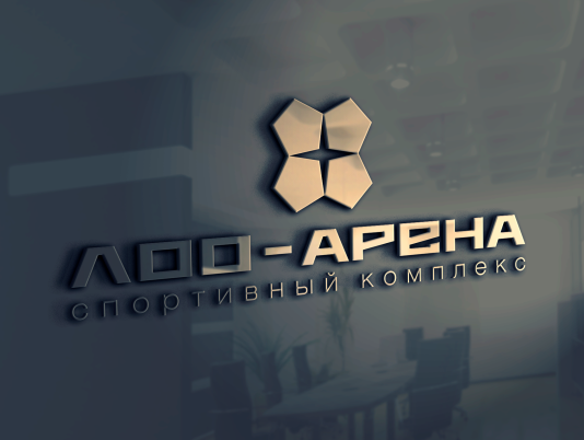 Логотип и фирменный стиль для спортивного комплекса «Лоо Арена»